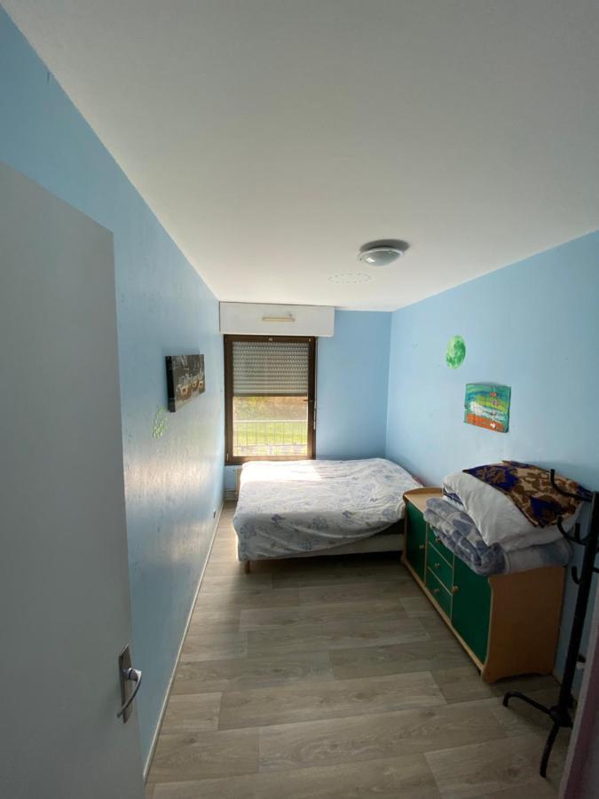 Nancy Hyper Centre, Chambre Prive Chez L'Habitant En Colocation Exteriér fotografie